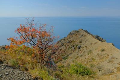 Прикрепленное изображение: 3.JPG